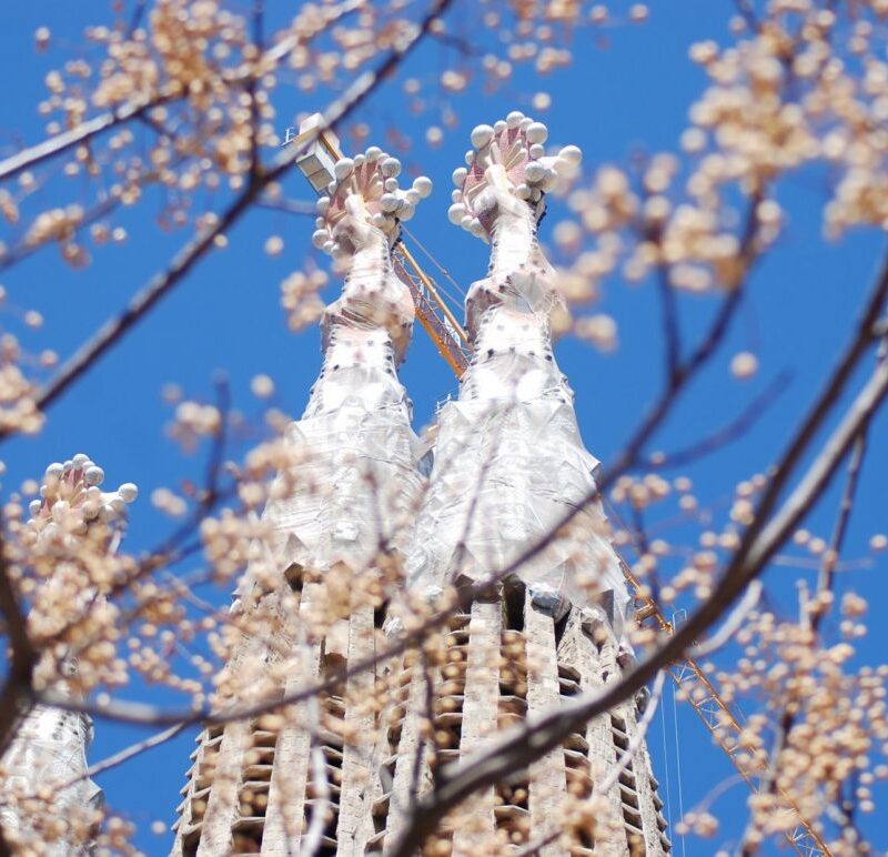 Барселона весной 2012: фестивали и события