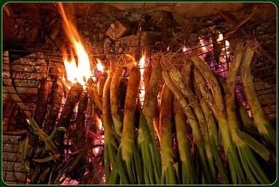 Calçots