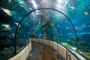 Barcelona Aquarium: Ozeanarium