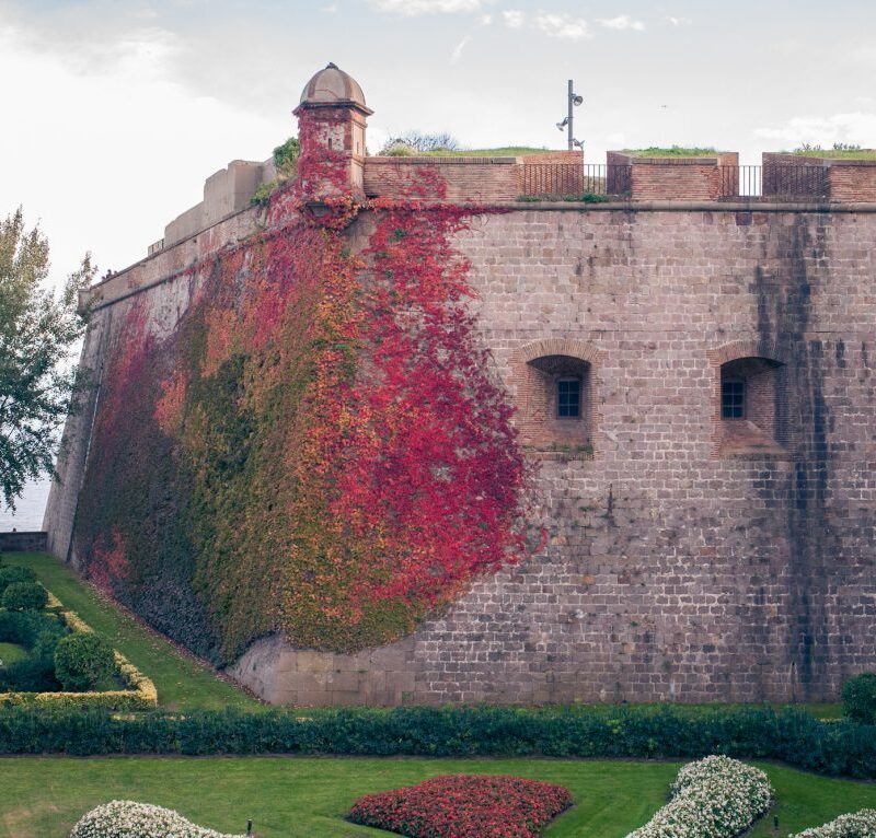 6 beste tours: Barcelona en verder