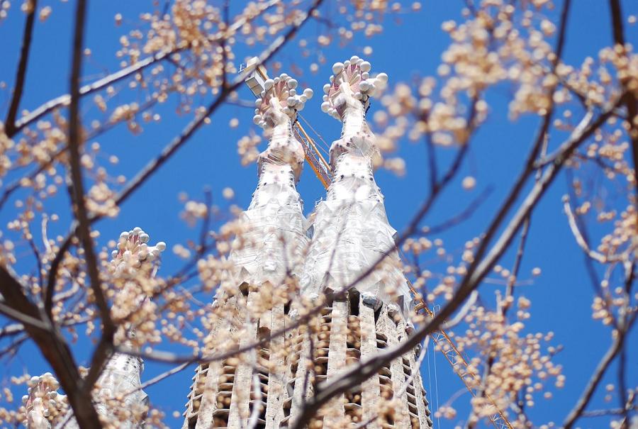 Spring-in-Barcelona