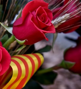 Diada de Sant Jordi, Barcelona Spring Events
