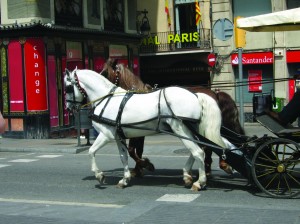 Barcelona horse and carriage tour