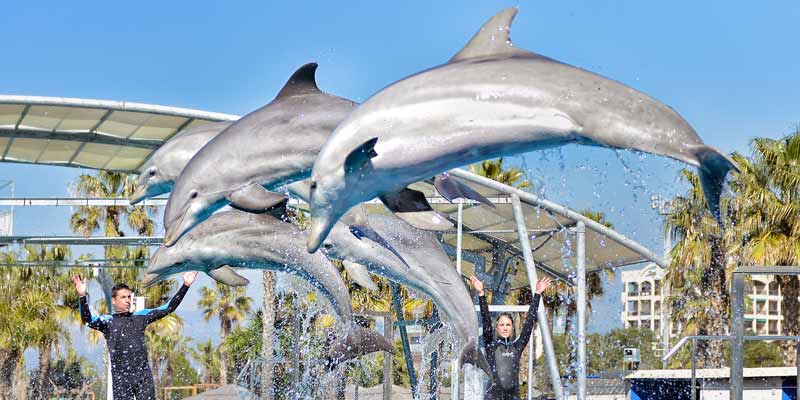 Aquopolis water parks near Barcelona