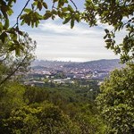 vistas Collserola