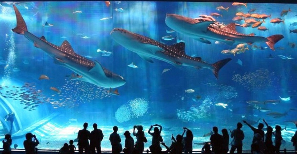 The Aquarium Barcelona