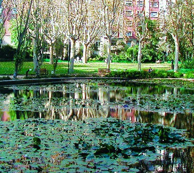 Turó Park Barcelona