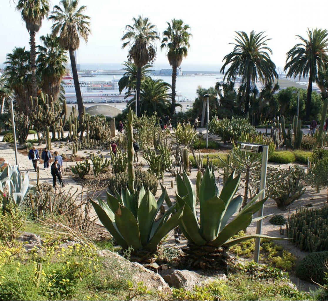 giardino cactus barcellona