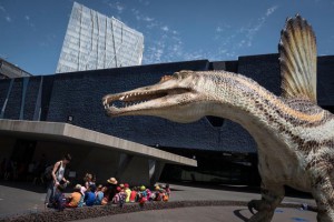 Spinosaurus, le dernier des grands crétacés