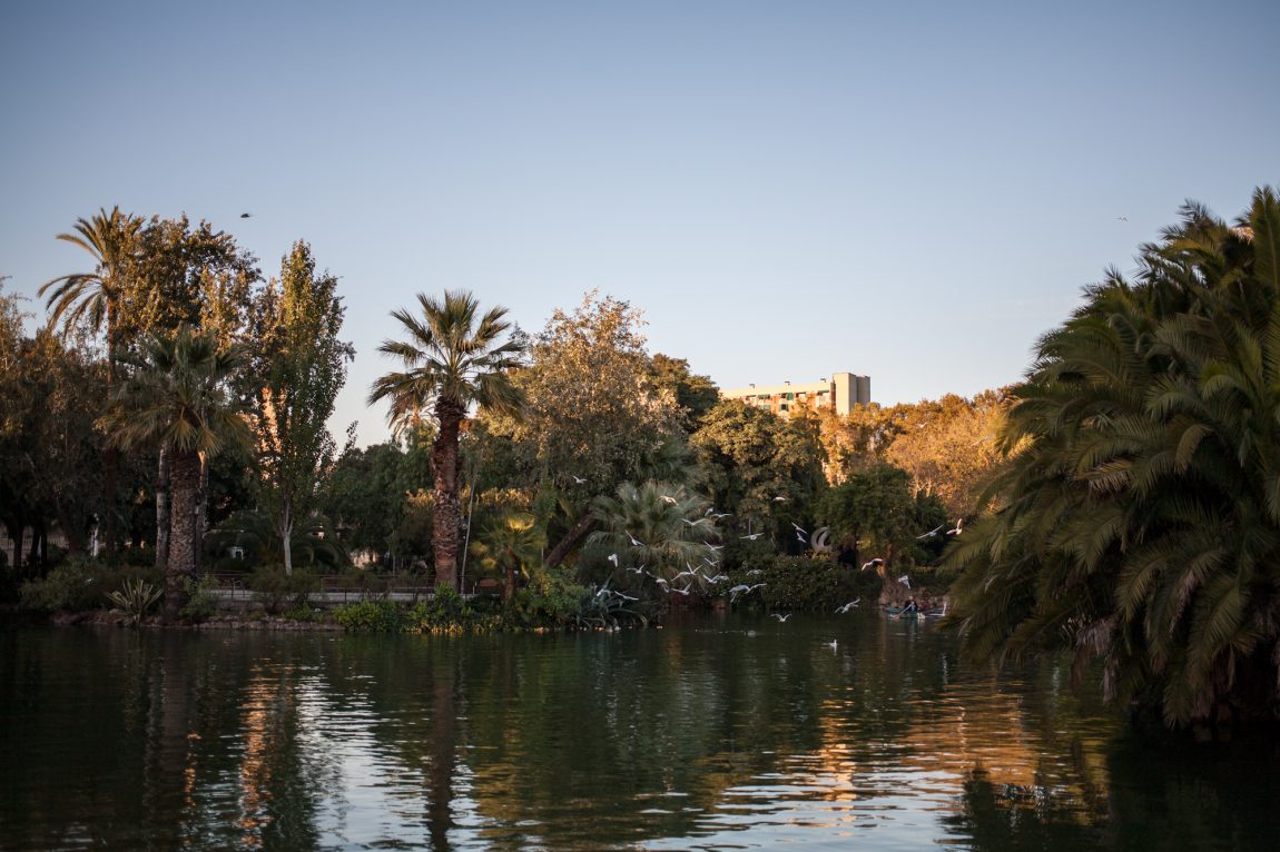 Ciutadella Park