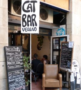 Cat Bar