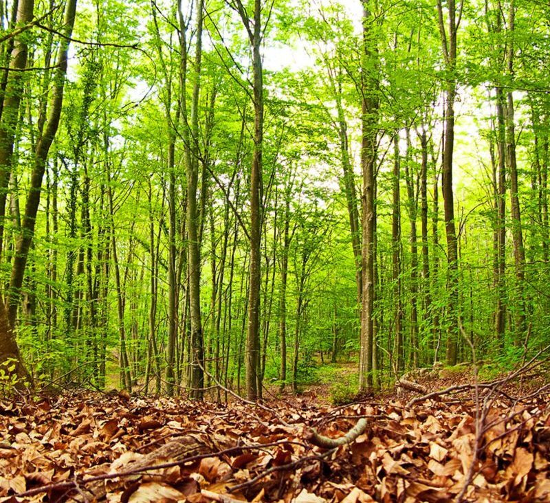 5 escapes naturales cerca de Barcelona