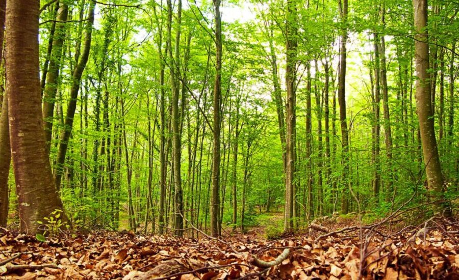 5 Tagesausflüge von Barcelona in die Natur