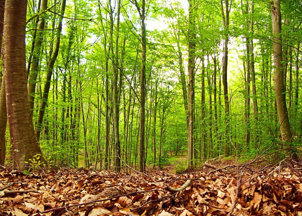 5 escapades dans la nature près de Barcelone