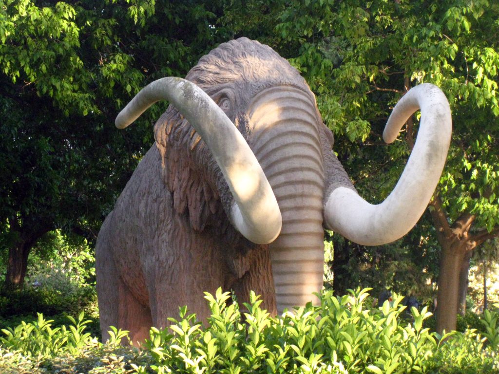 Mammoth Ciutadella