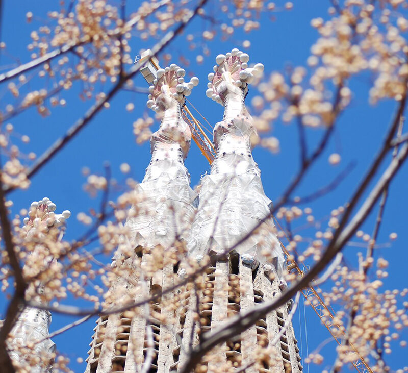 Список самых лучших событий весны 2019 в Барселоне