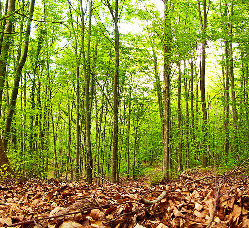 5 побегов на природу возле Барселоны