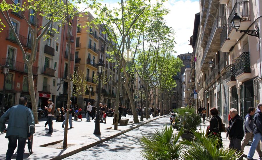 Passeig del Born: A Guide