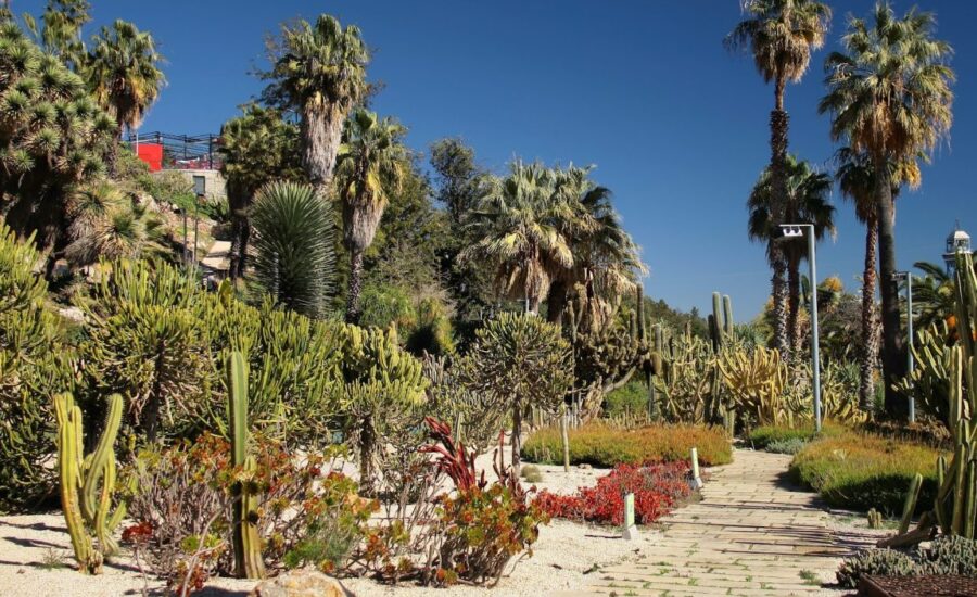 Barcelona’s Secret Gardens