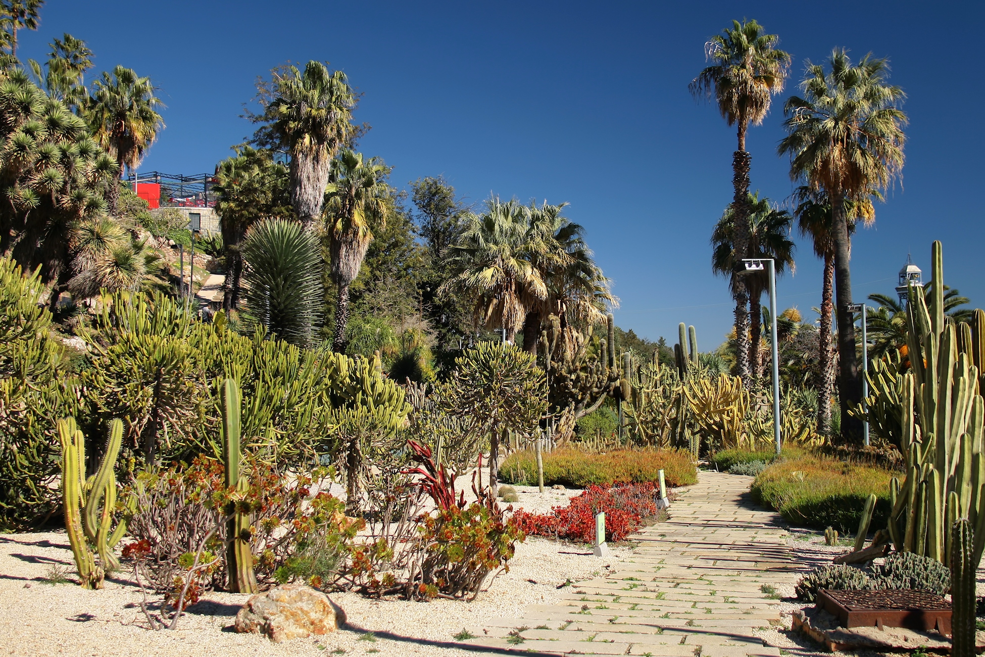 The Mossèn Costa i Llobera Gardens