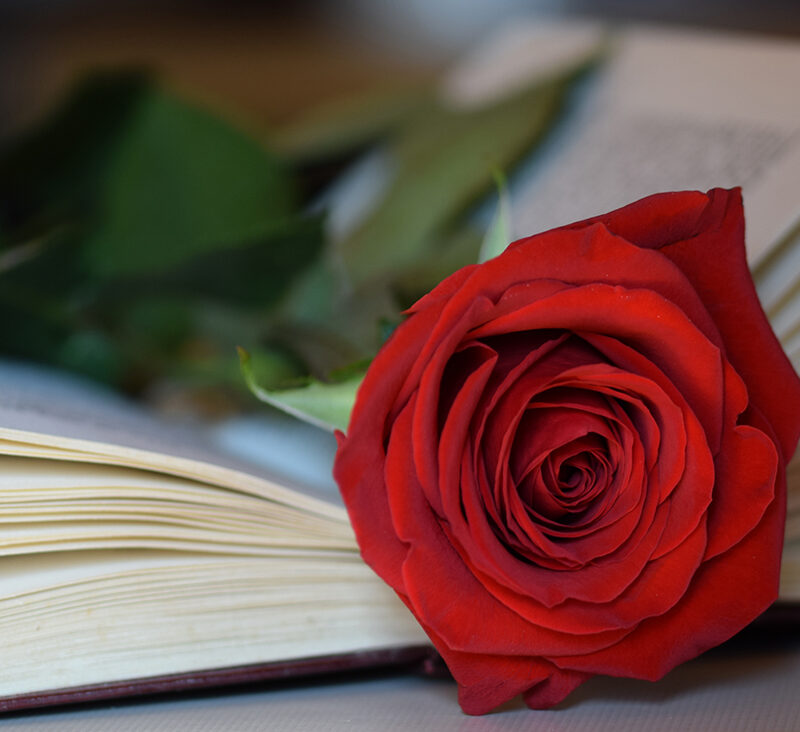 Il giorno dell’amore a Barcellona: La Diada de Sant Jordi