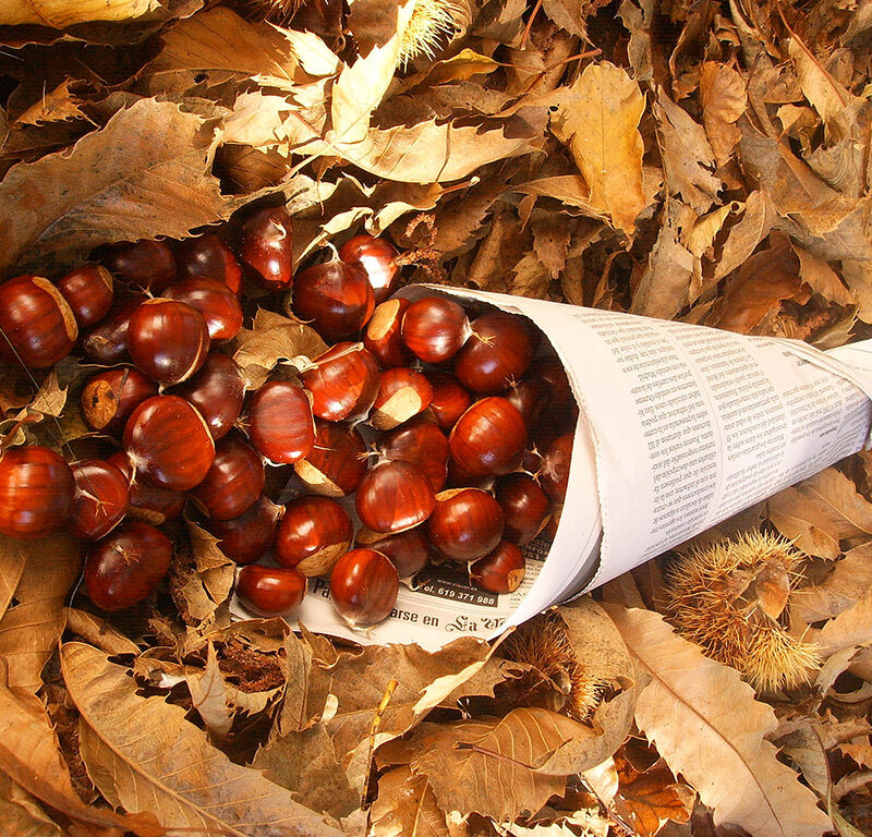 Хэллоуин и La Castanyada в Барселоне 2021