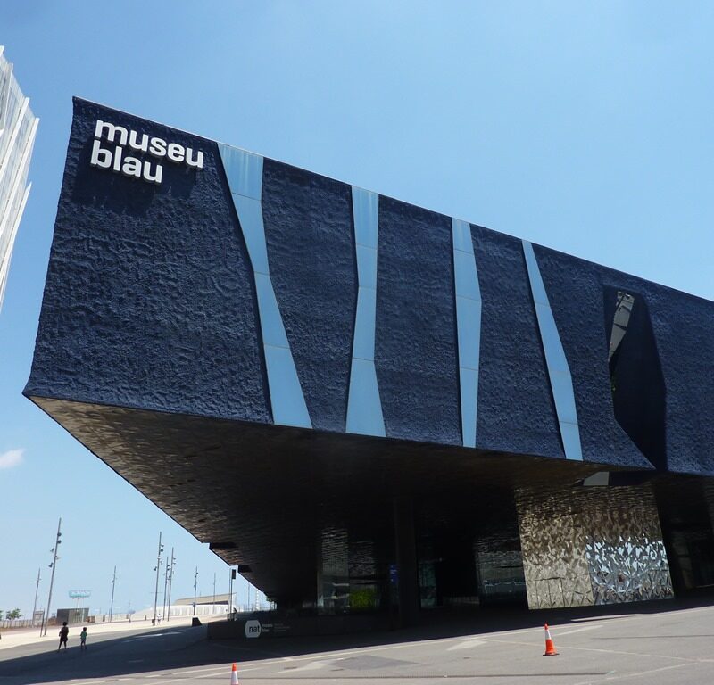 Museu Blau в Барселоне