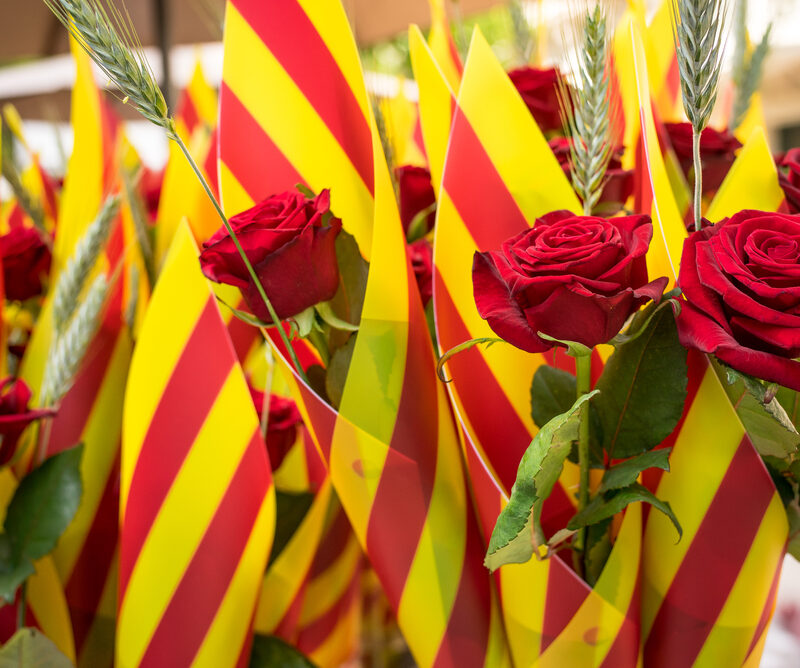 День Святого Жорди: Барселонский День книг и роз 2022