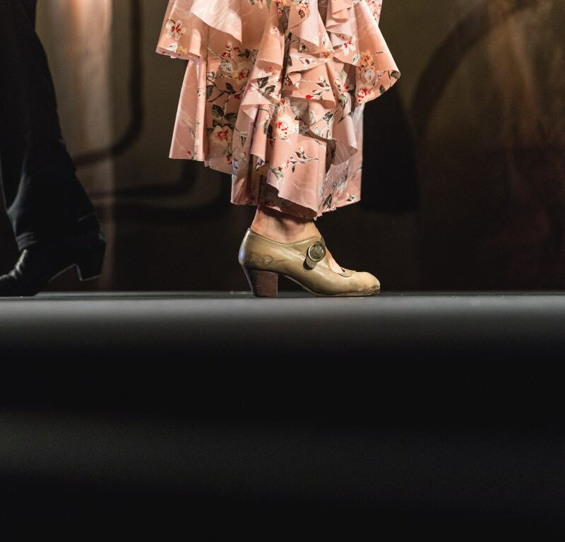 弗拉明戈之城：巴塞罗那弗拉明戈节