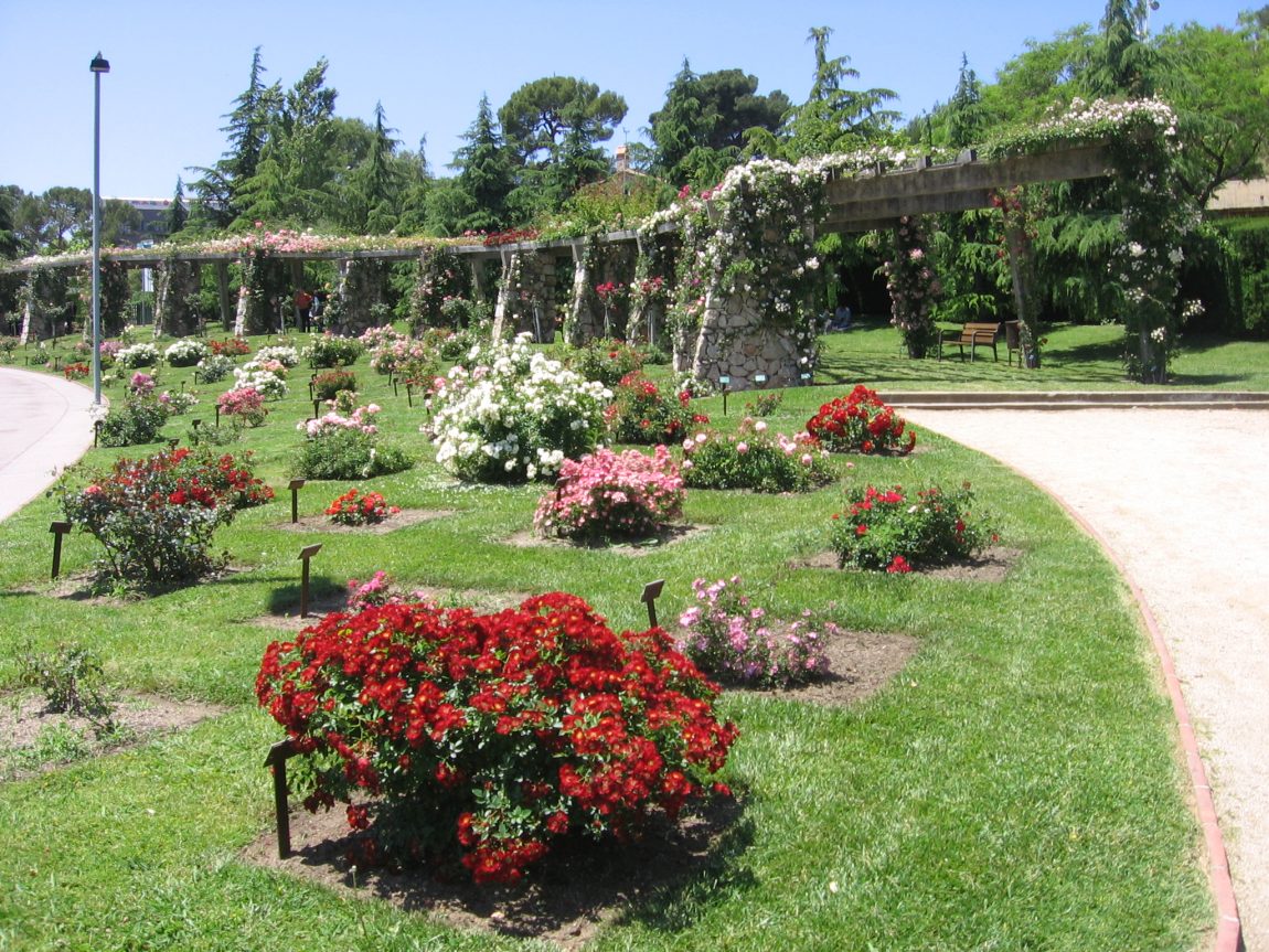 parque cervantes