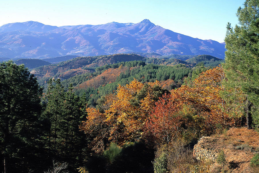 Carretera de les Aigües