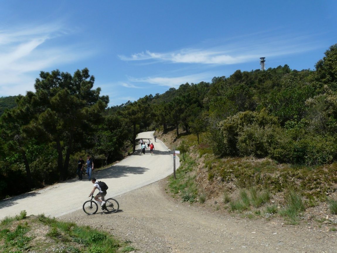 Passeig de les Aigües