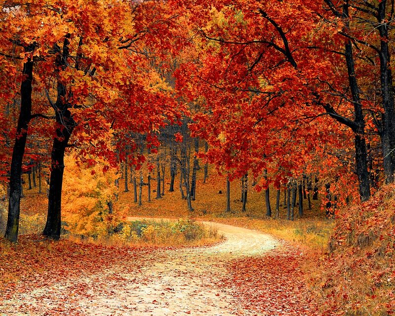 Осенние мероприятия на свежем воздухе в Барселоне