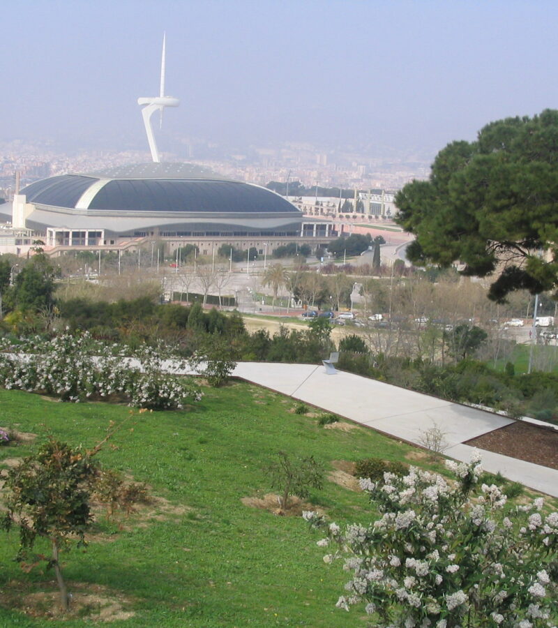探索巴塞罗那的植物园