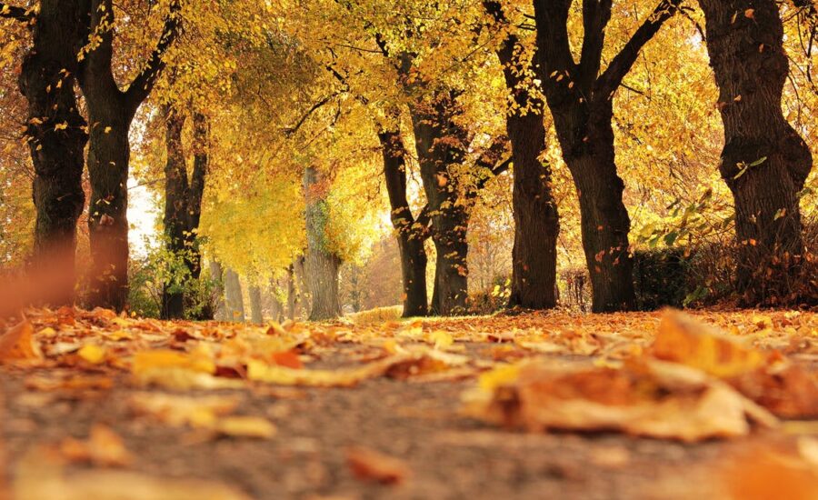 Herbstliche Outdoor-Aktivitäten in Barcelona