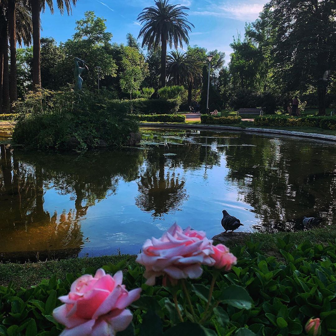 Jardins de Vil·la Amèlia