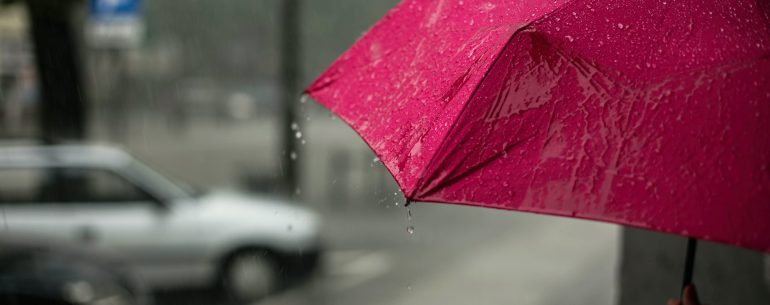 umbrella rain