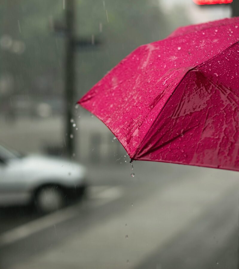 巴塞罗那雨天的15项雨天活动
