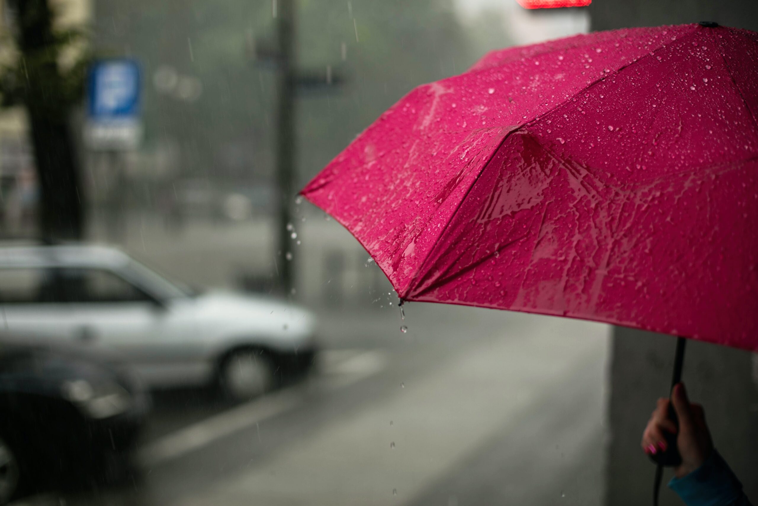 巴塞罗那雨天的15项雨天活动