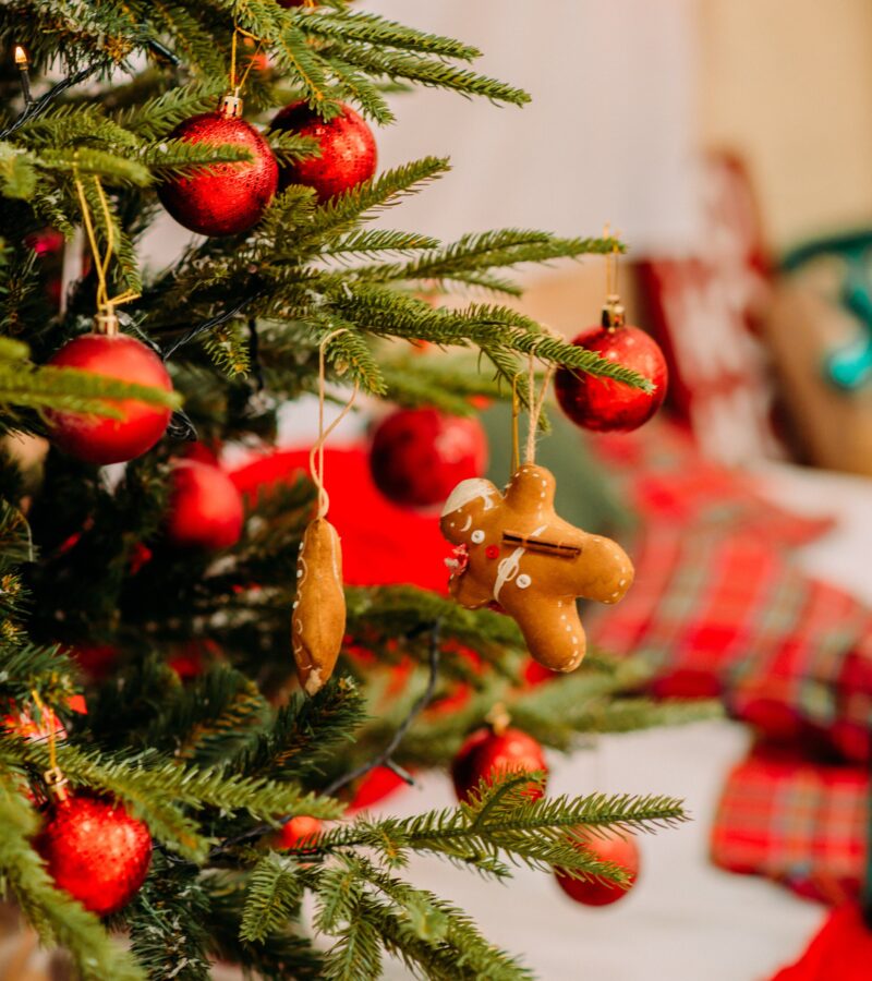 14个关于如何在圣诞节装饰你的出租屋的想法