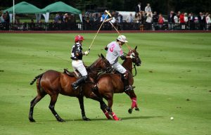 polo competition