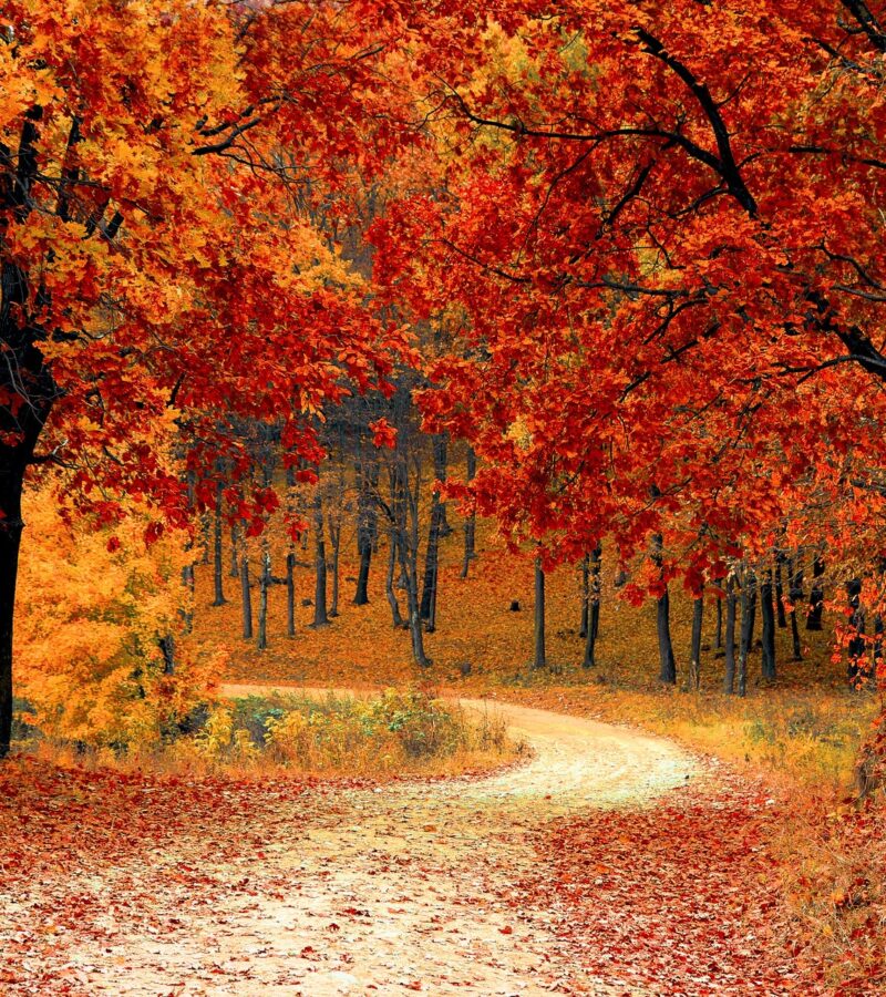 Waarom moet je Barcelona bezoeken in de herfst?