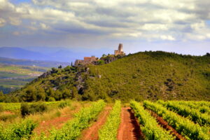 Wine tasting Barcelona