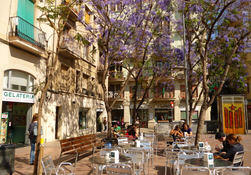 Ontdek Gràcia: de beste plekken om te zien, te eten en te genieten