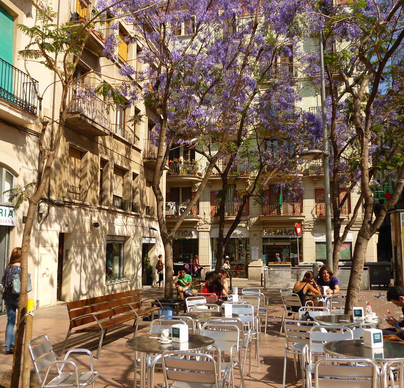 Ontdek Gràcia: de beste plekken om te zien, te eten en te genieten