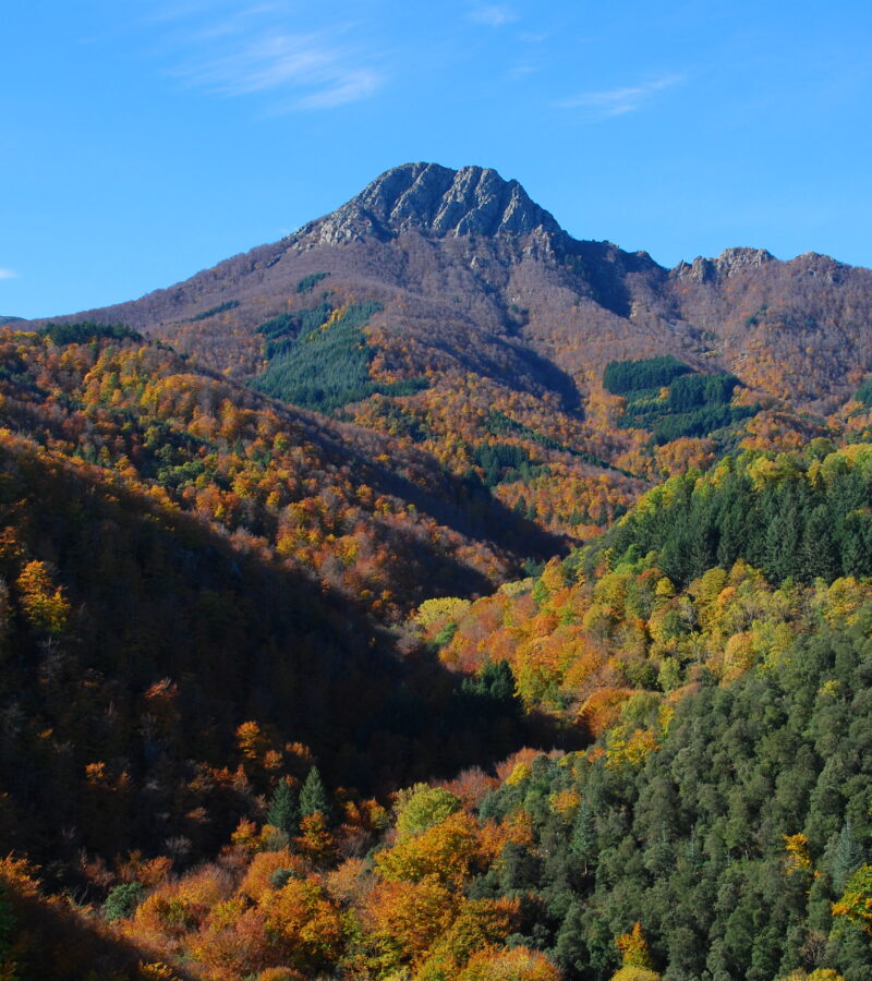 Montseny Naturreservat: die perfekte Ausflucht von Barcelona
