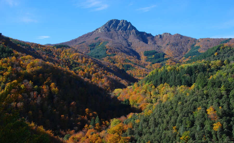 Parque Natural del Montseny: una escapada perfecta desde Barcelona