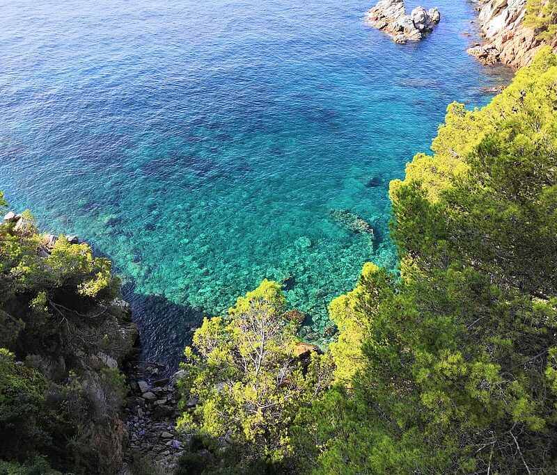 Een Dagje naar Blanes | Wat te zien en te doen