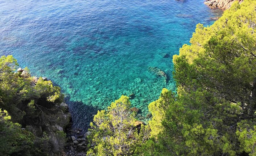 Excursión de un día a Blanes | Qué ver y hacer