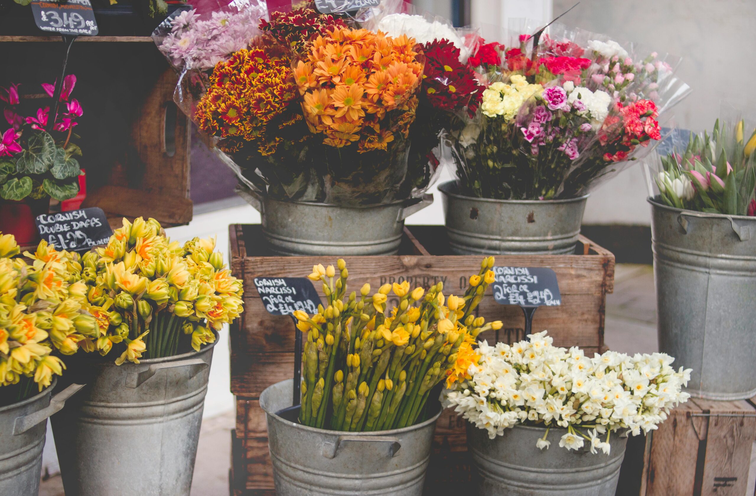 Las 5 Mejores Floristerías de Barcelona